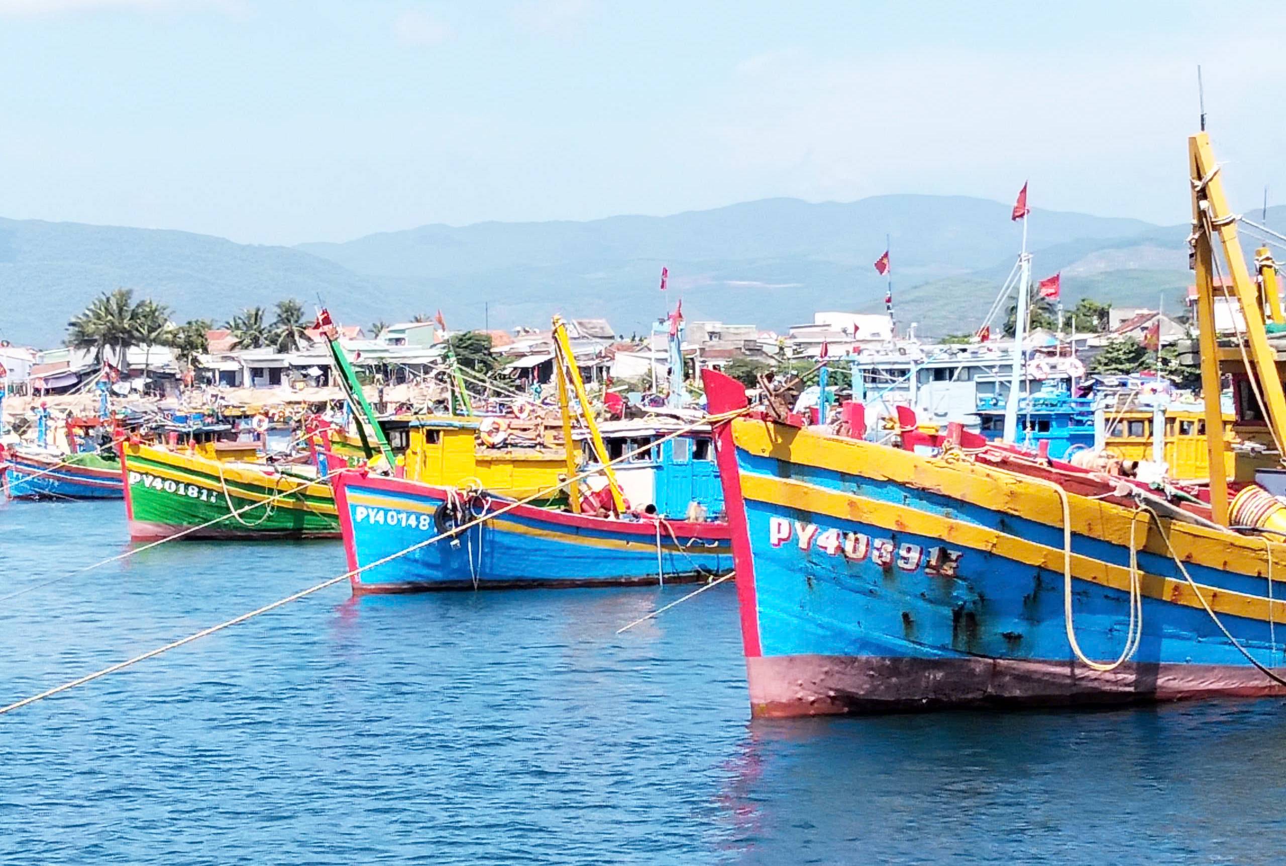 Đắk Lắk “thần tốc” triển khai các nhiệm vụ chống khai thác IUU ngay từ đầu năm 2026